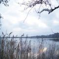 Winterblick aus Senzig (tn_100_4092.jpg) Zeesner See im Landkreis Dahme Spreewald